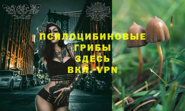 синтетический гашиш Балахна