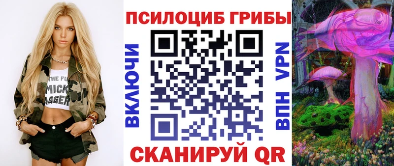 Галлюциногенные грибы GOLDEN TEACHER  сколько стоит  Старица 